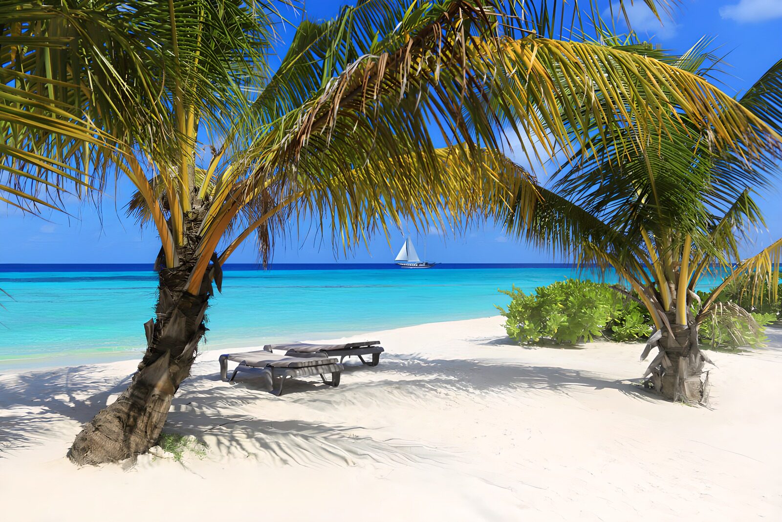 TPFR28995: Plage paradisiaque sous les palmiers