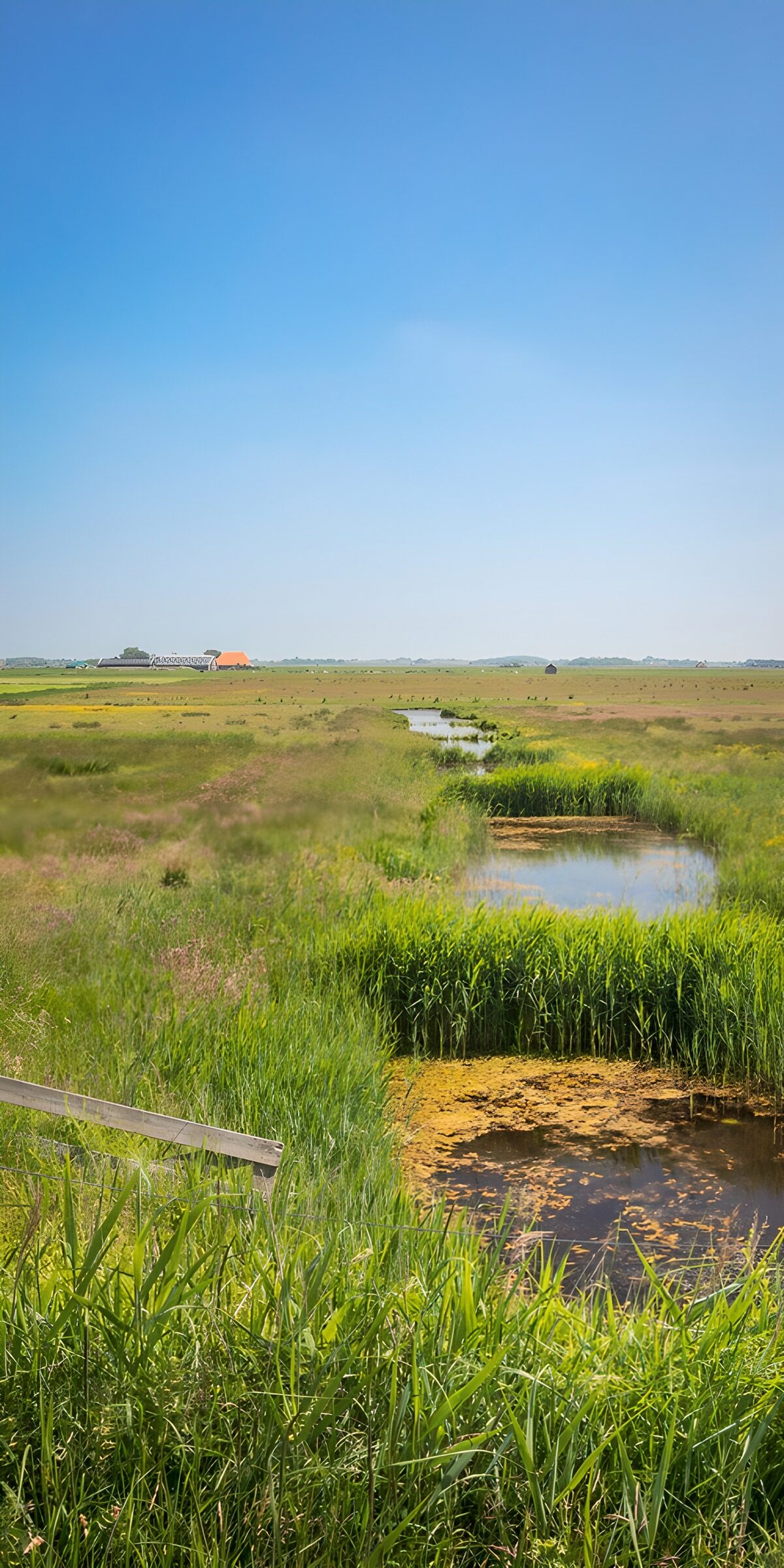 TPFR91281: Paysage paisible avec ruisseaux verdoyants