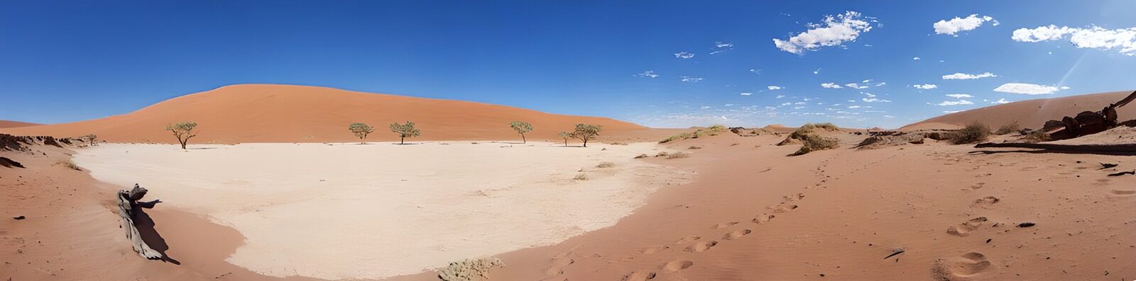 TPFR32466: Désert majestueux au Namib