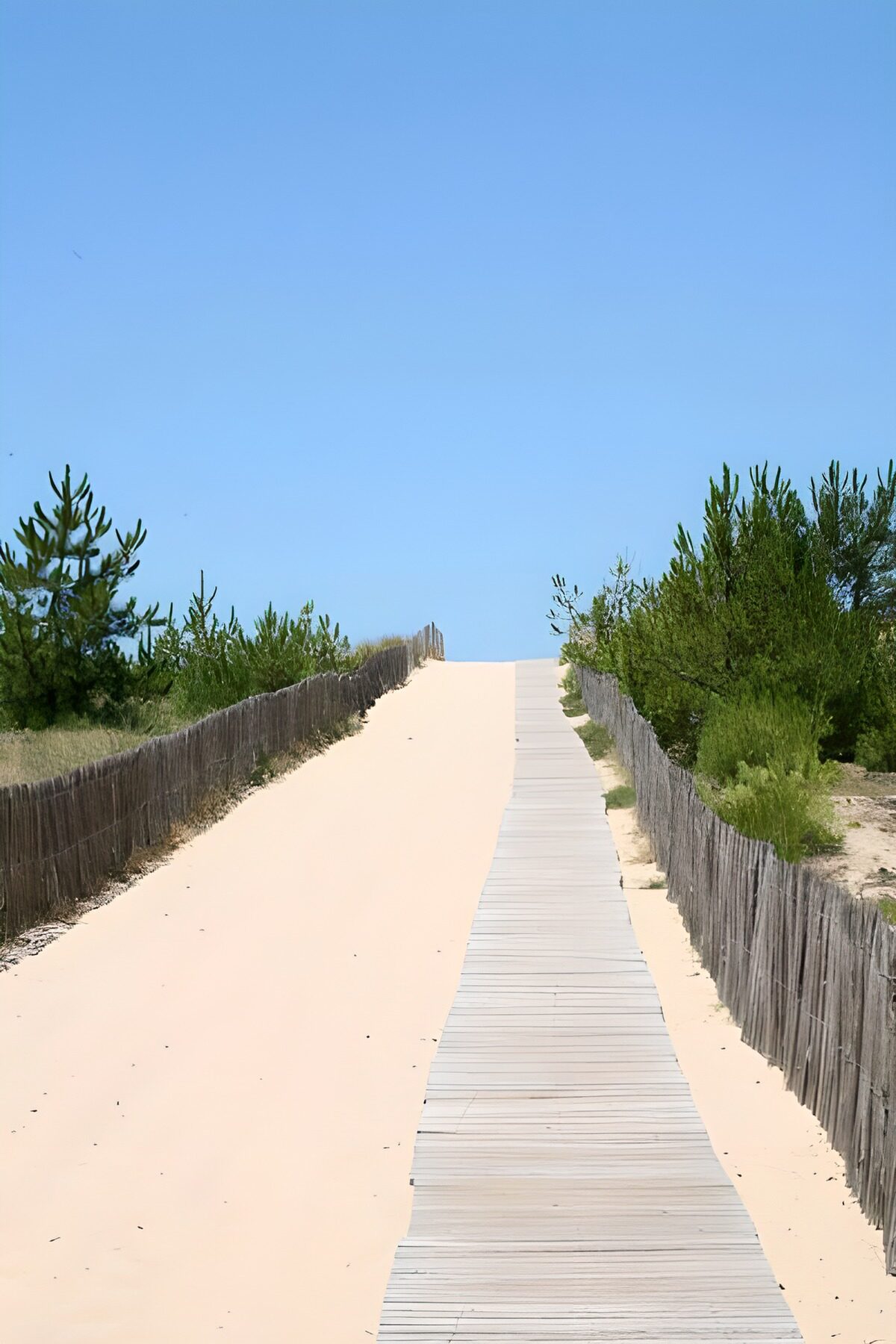 TPFR32210: En route vers la plage à travers les dunes