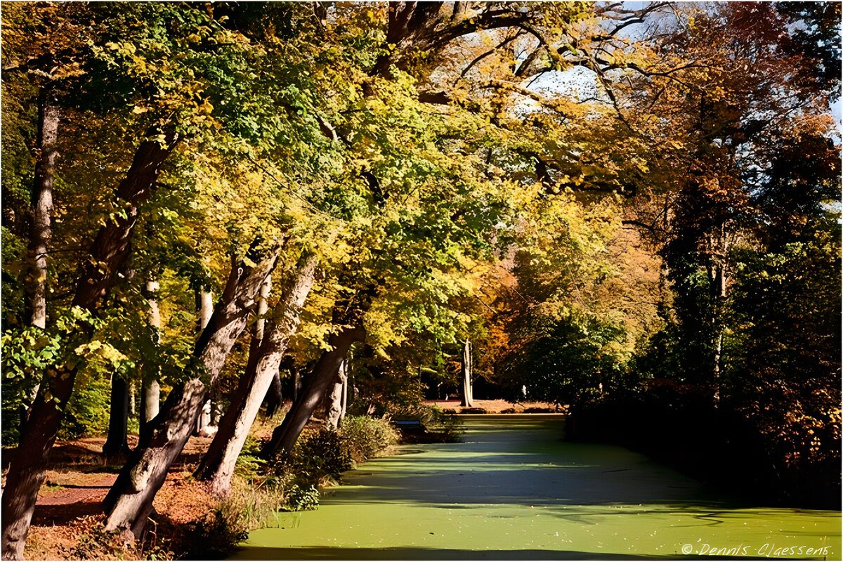 TPFR73412: Ruisseau paisible aux couleurs d'automne