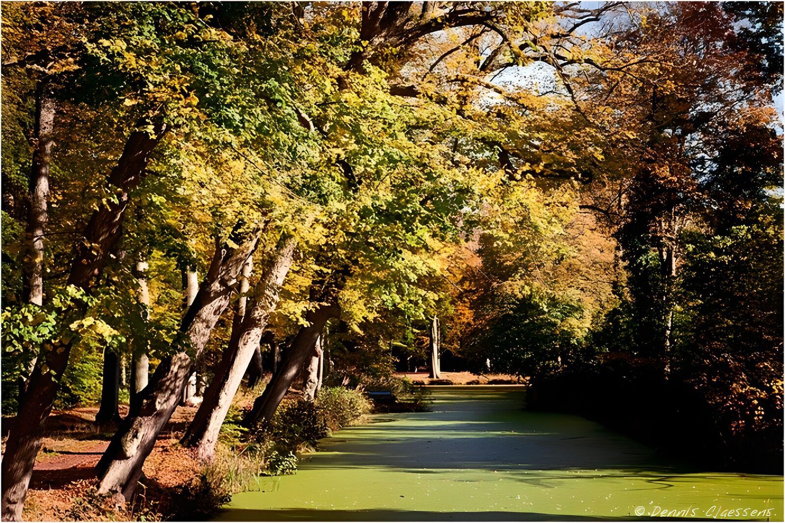 TPFR73412: Ruisseau paisible aux couleurs d'automne