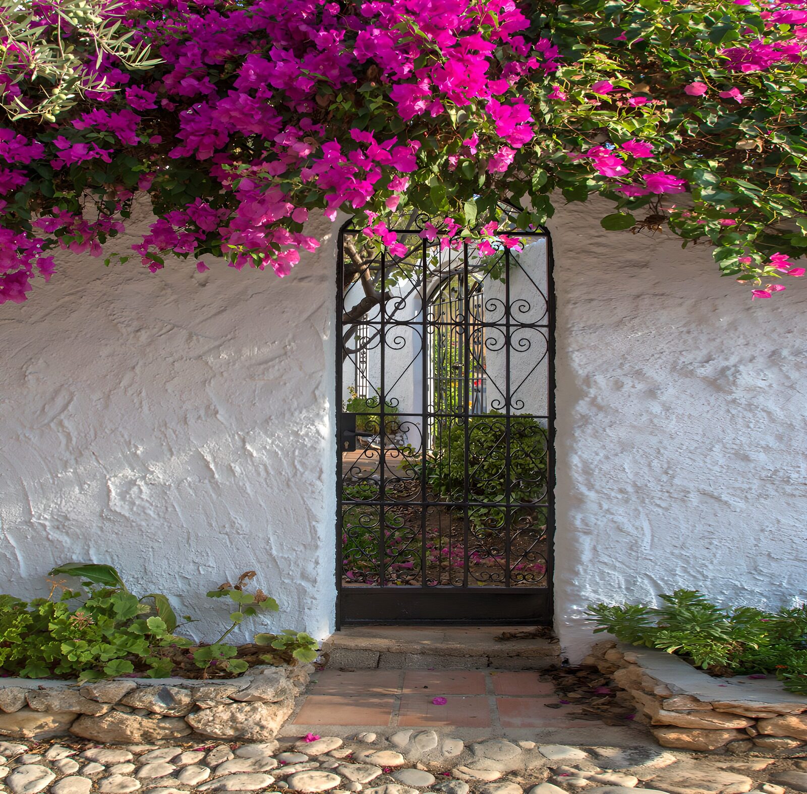 TPFR67298: Portail fleuri dans un jardin paisible