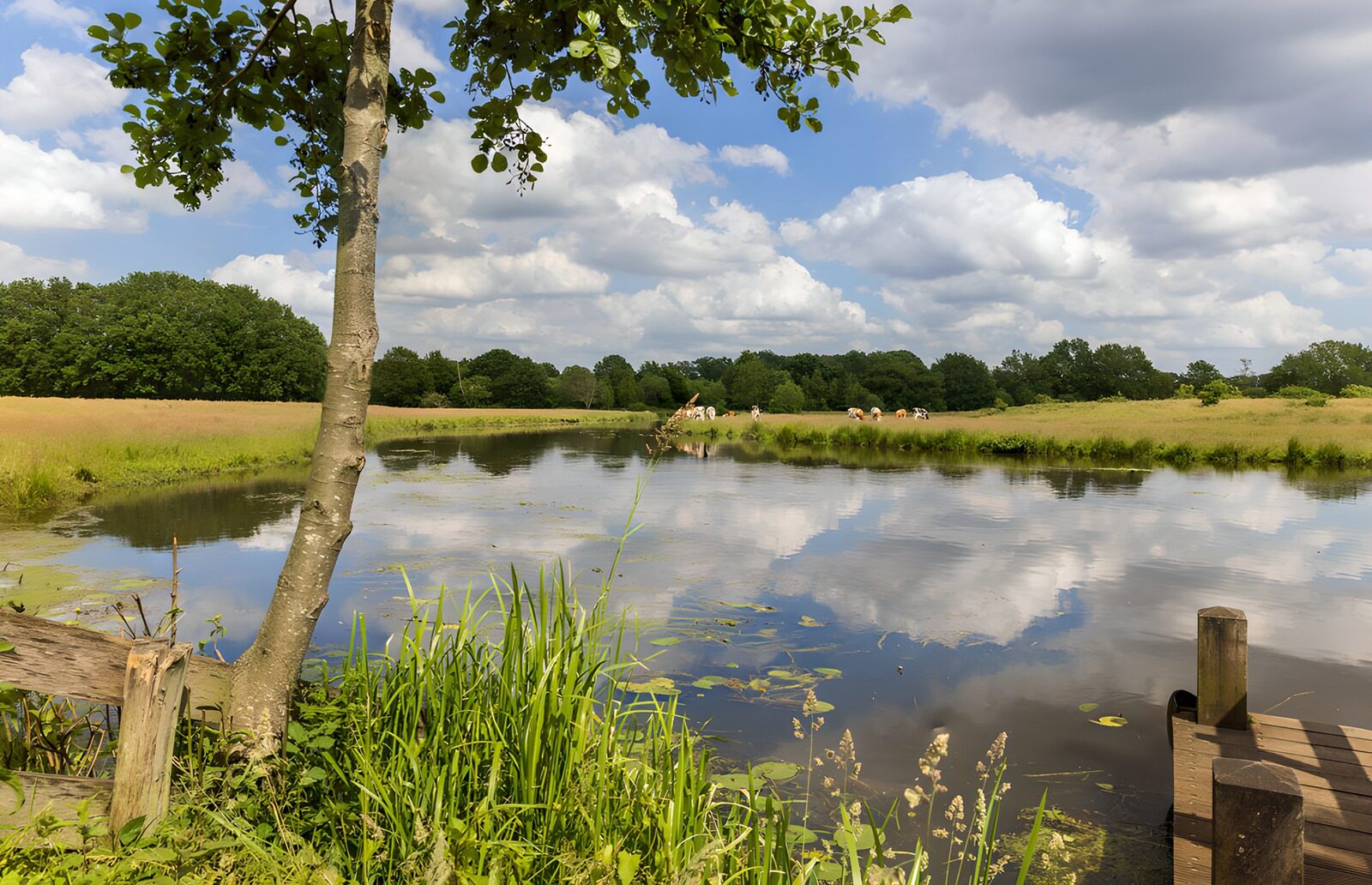 TPFR60855: Calme reflet sur l'eau