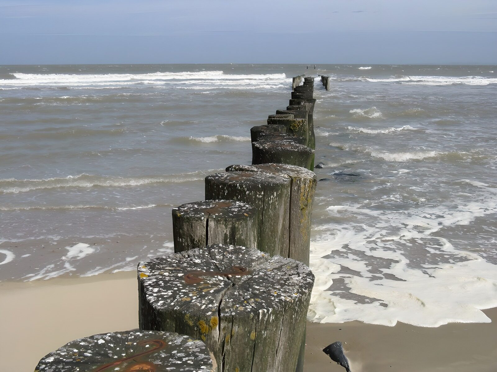 TPFR93295: Plage de Zélande avec pieux en bord de mer