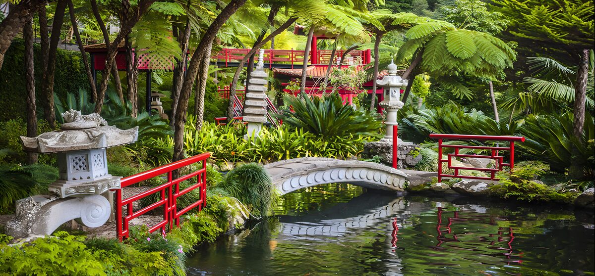 TPFR99025: Jardin zen paisible et coloré