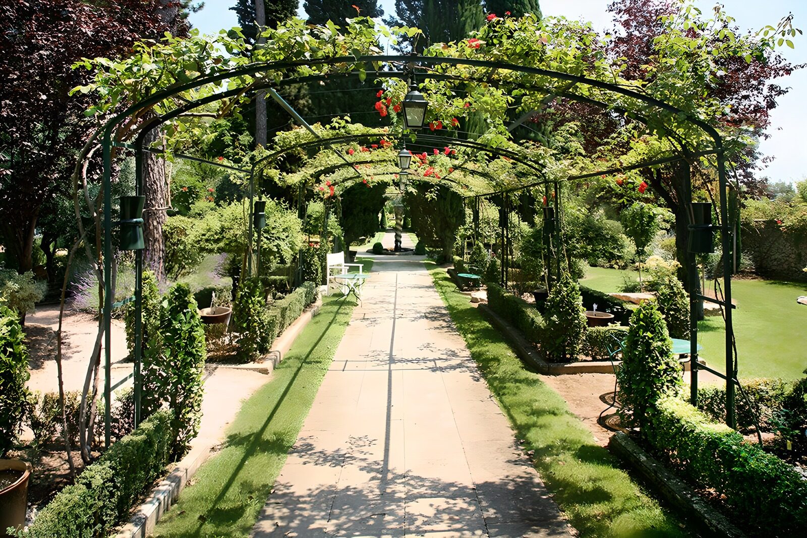 TPFR71605: Allée romantique dans un jardin