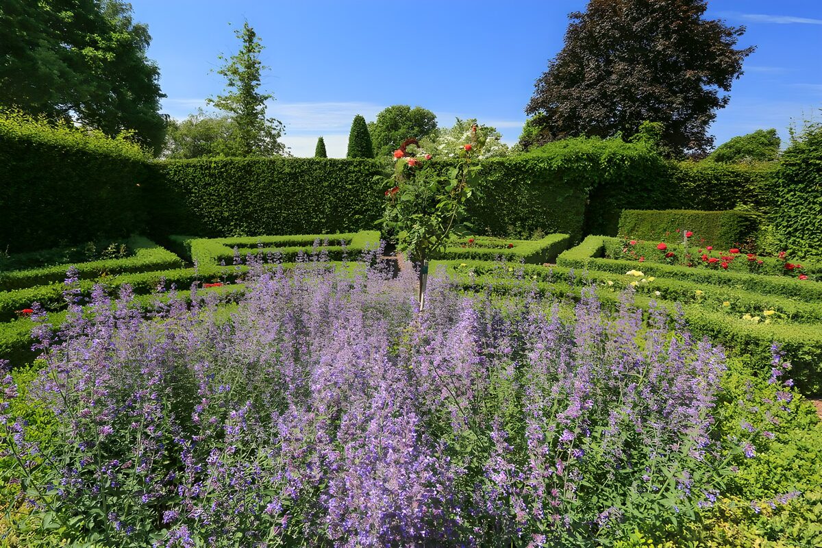 TPFR63553: Jardin fleuri et verdoyant