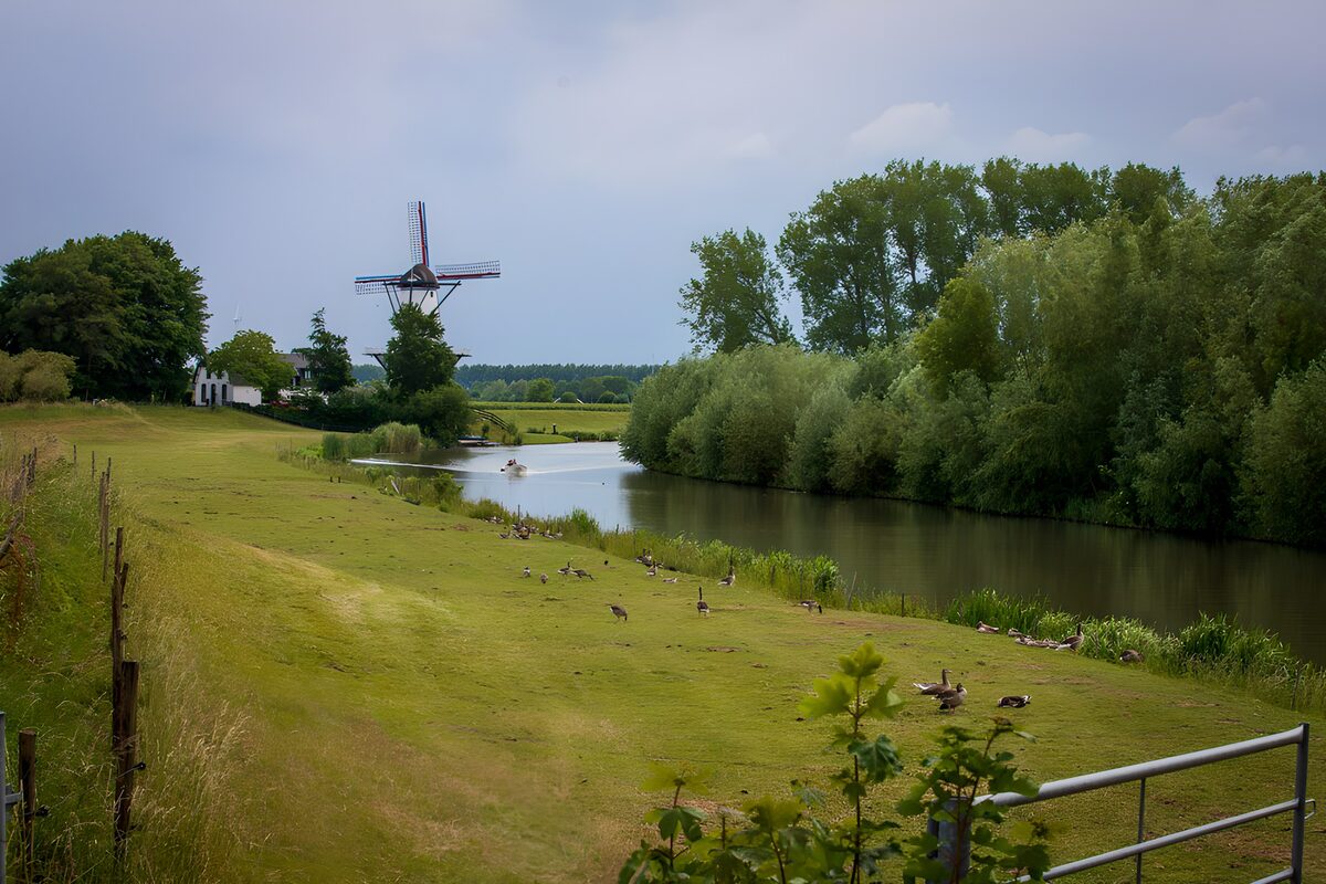 TPFR53758: Moulin et paysage paisible