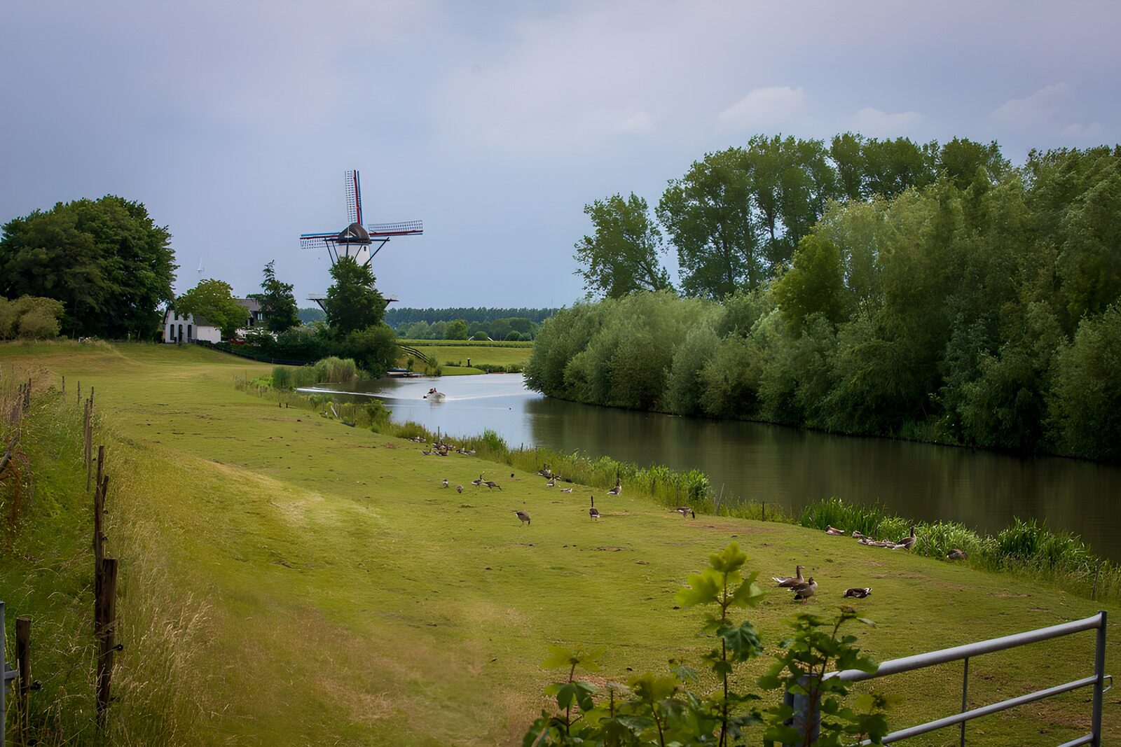 TPFR53758: Moulin et paysage paisible