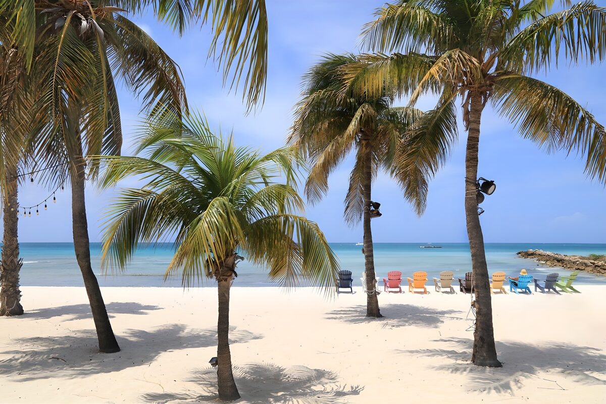 TPFR83532: Plage paradisiaque sous les palmiers