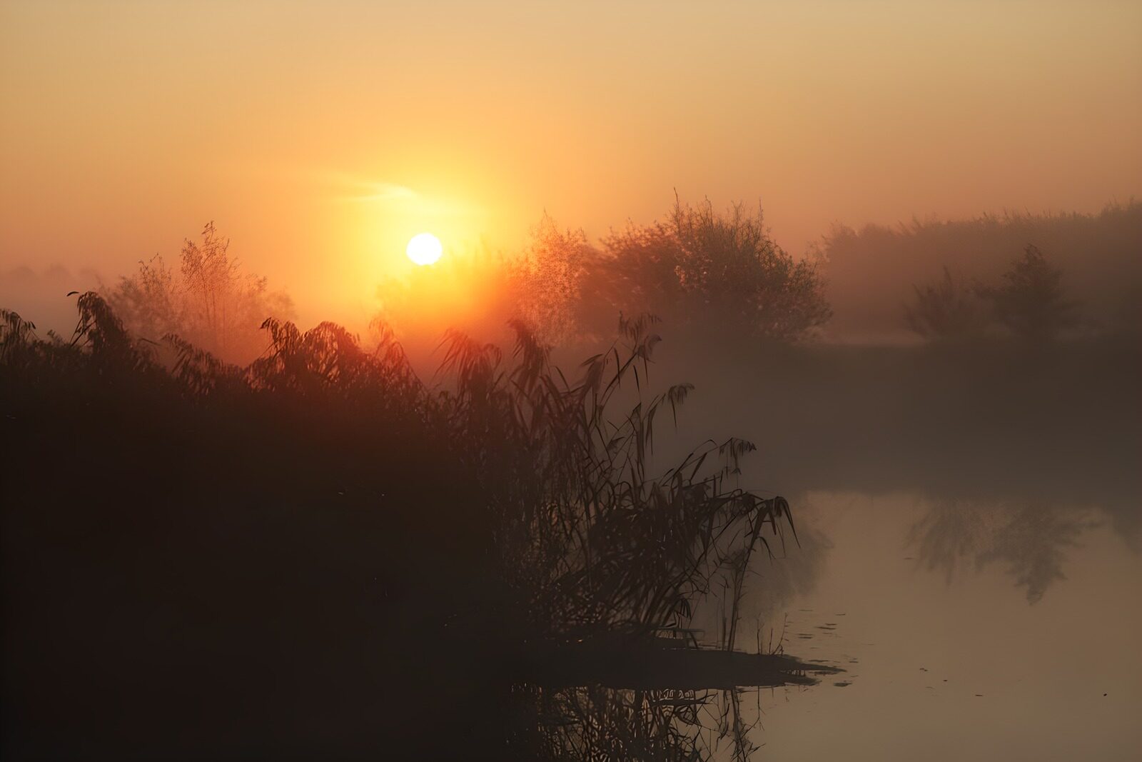TPFR71335: Lever de soleil brumeux sur la rivière
