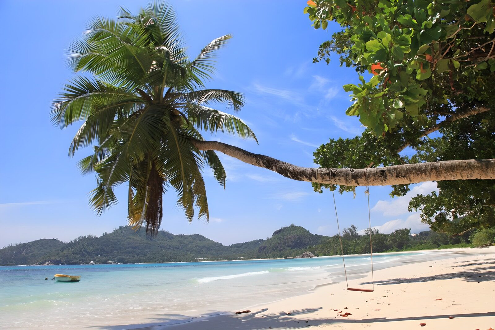 TPFR98117: Plage paradisiaque avec balancoire