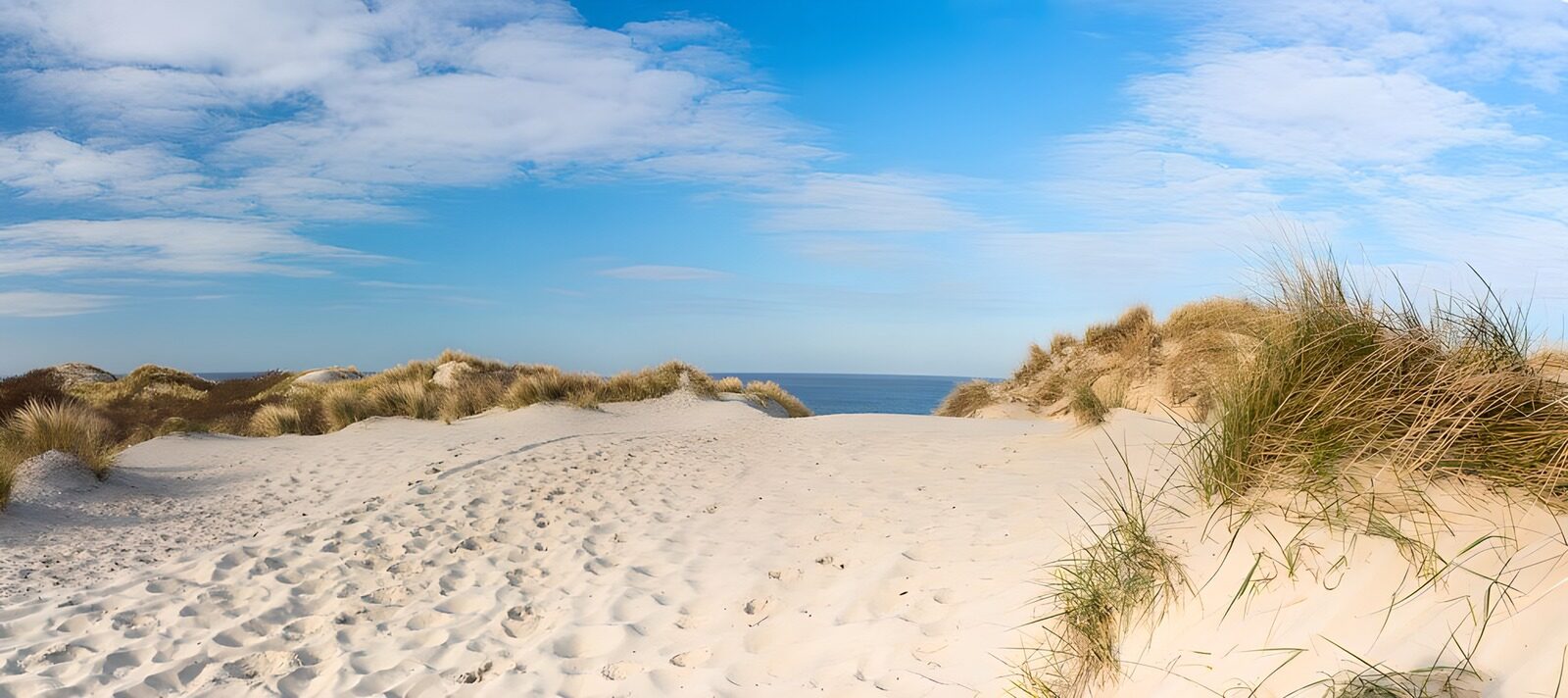 TPFR39462: Plage paisible sous un ciel bleu
