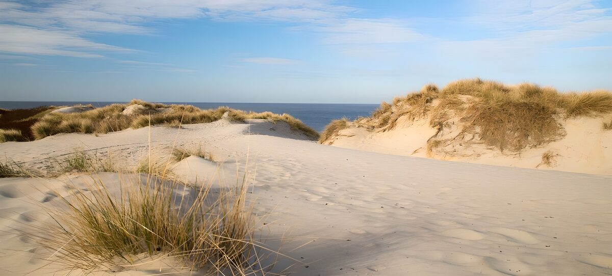 TPFR81825: Dunes de sable sous un ciel azur