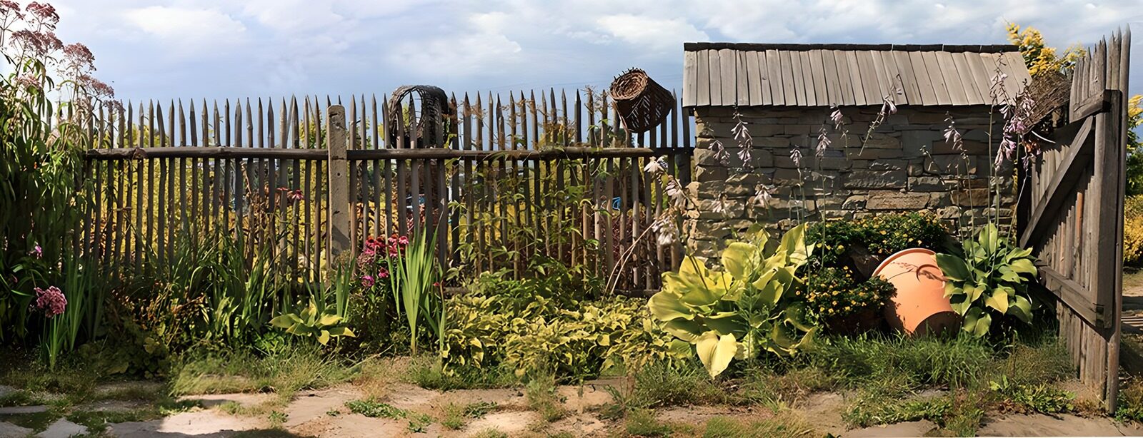 TPFR53456: Jardin champêtre et clôture en bois