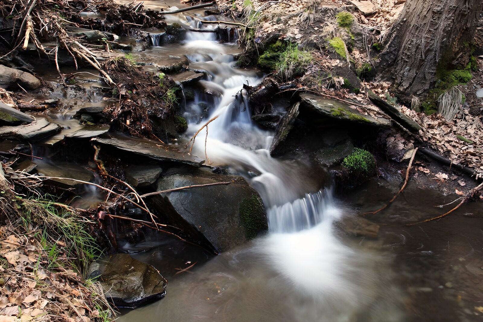 TPFR28850: Ruisseau paisible en pleine nature
