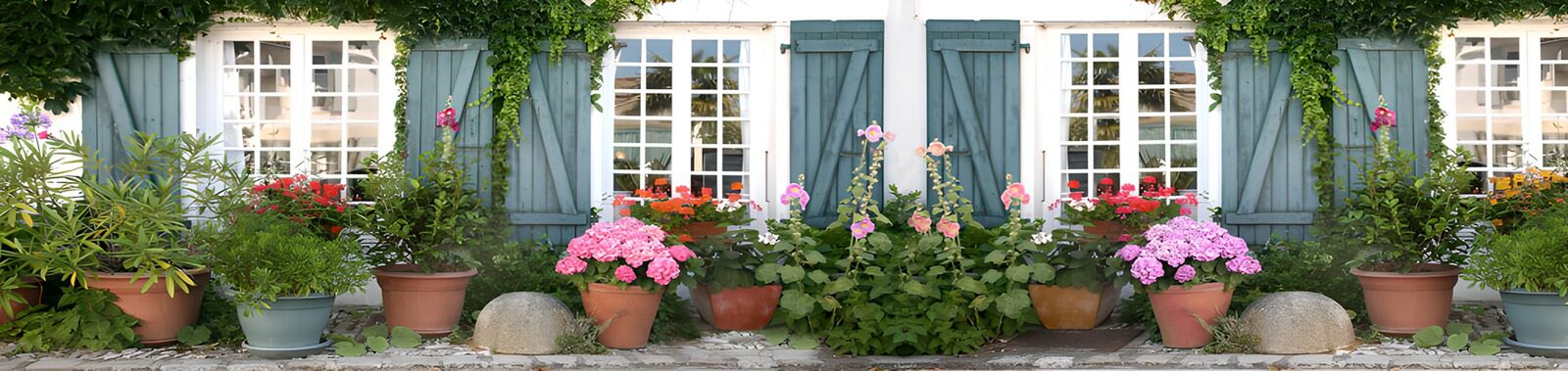 TPFR63962: Jardinières colorées devant une maison