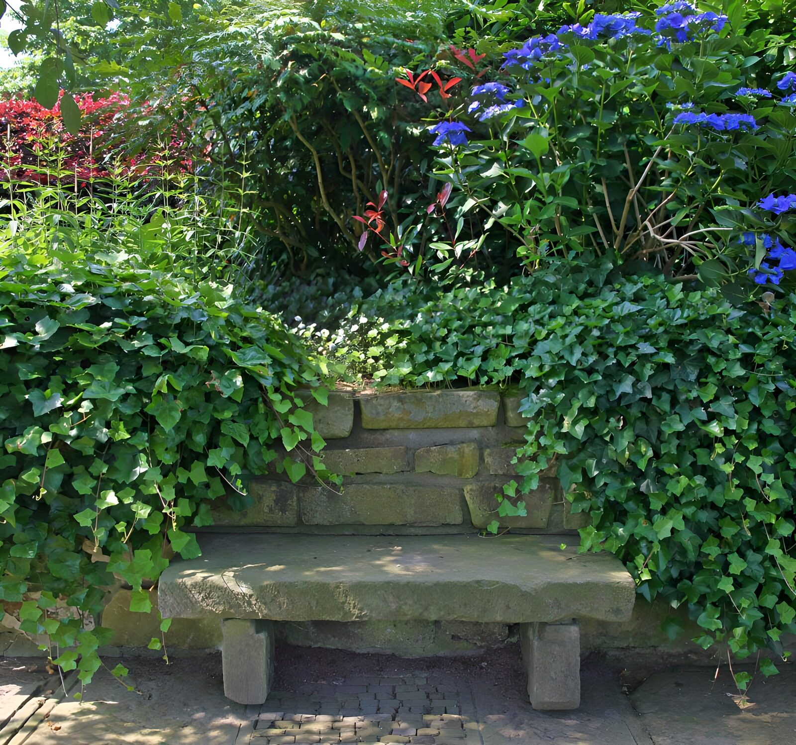 TPFR52457: Banc de pierre entouré de verdure et fleurs