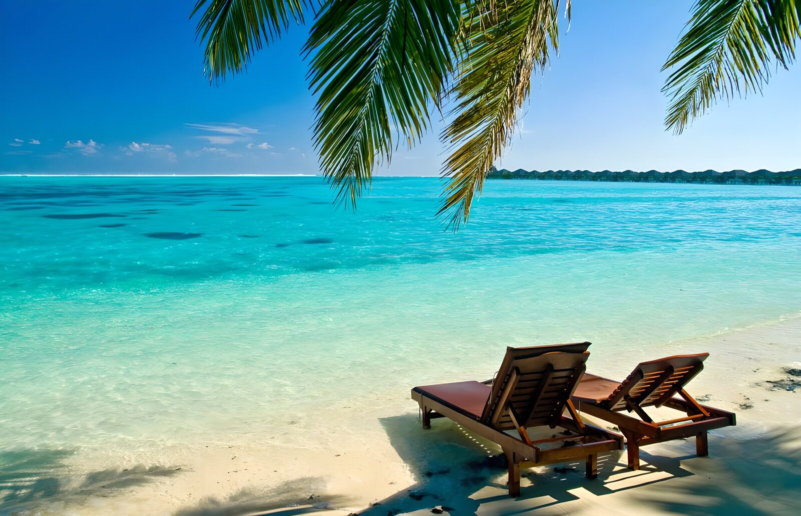 TPFR34511: Chaises longues en bois en bordure de la mer des Caraïbes