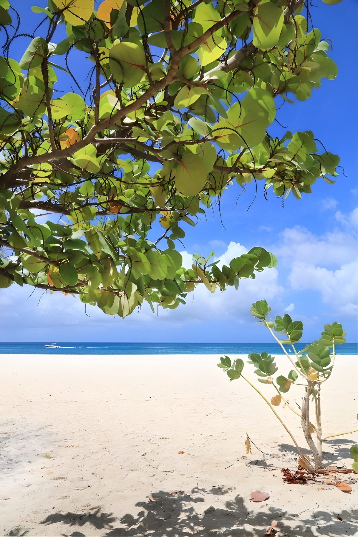 TPFR37064: Plage paisible sous un ciel bleu