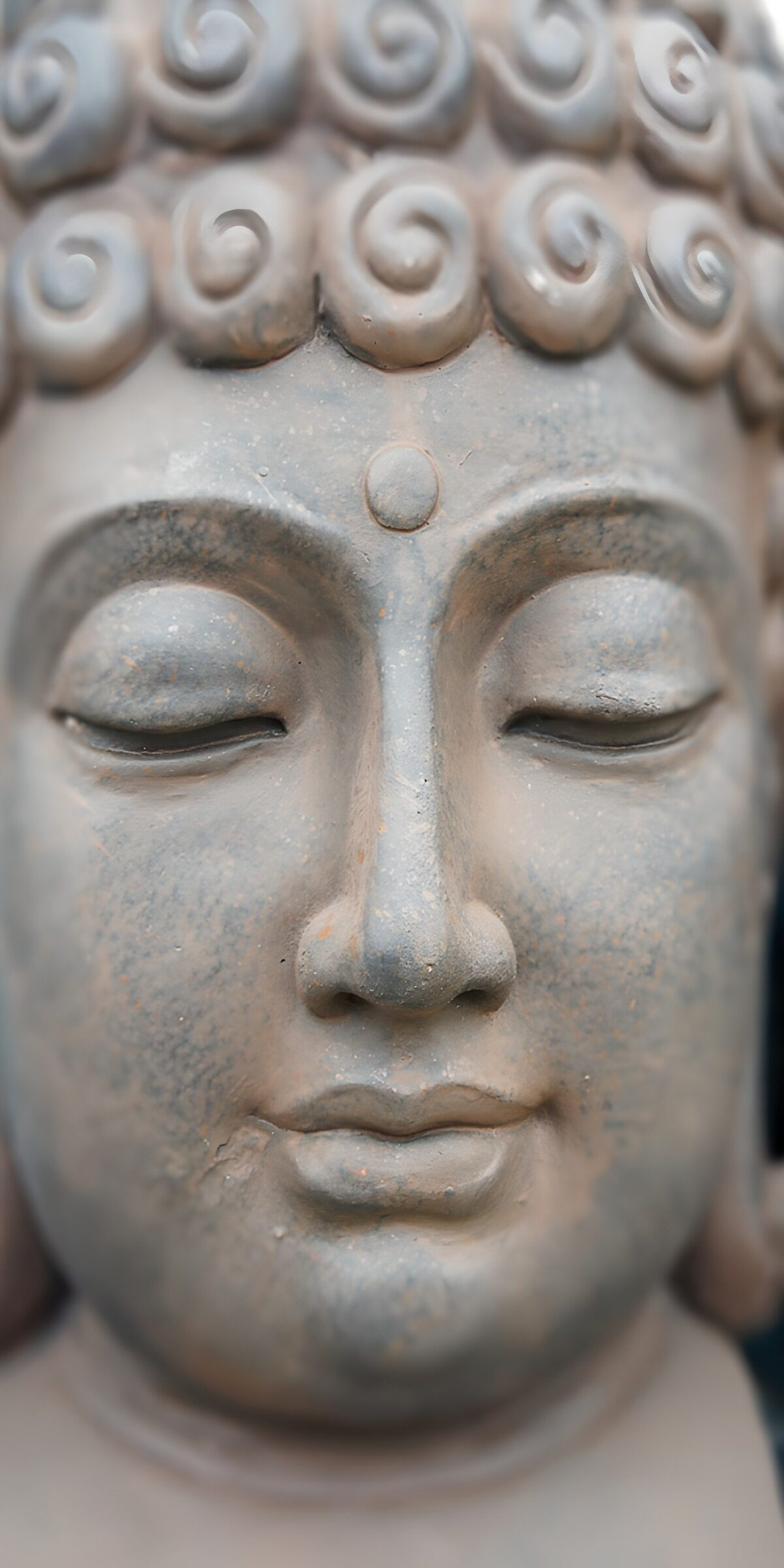 TPFR53993: Visage serein d'une statue de Bouddha