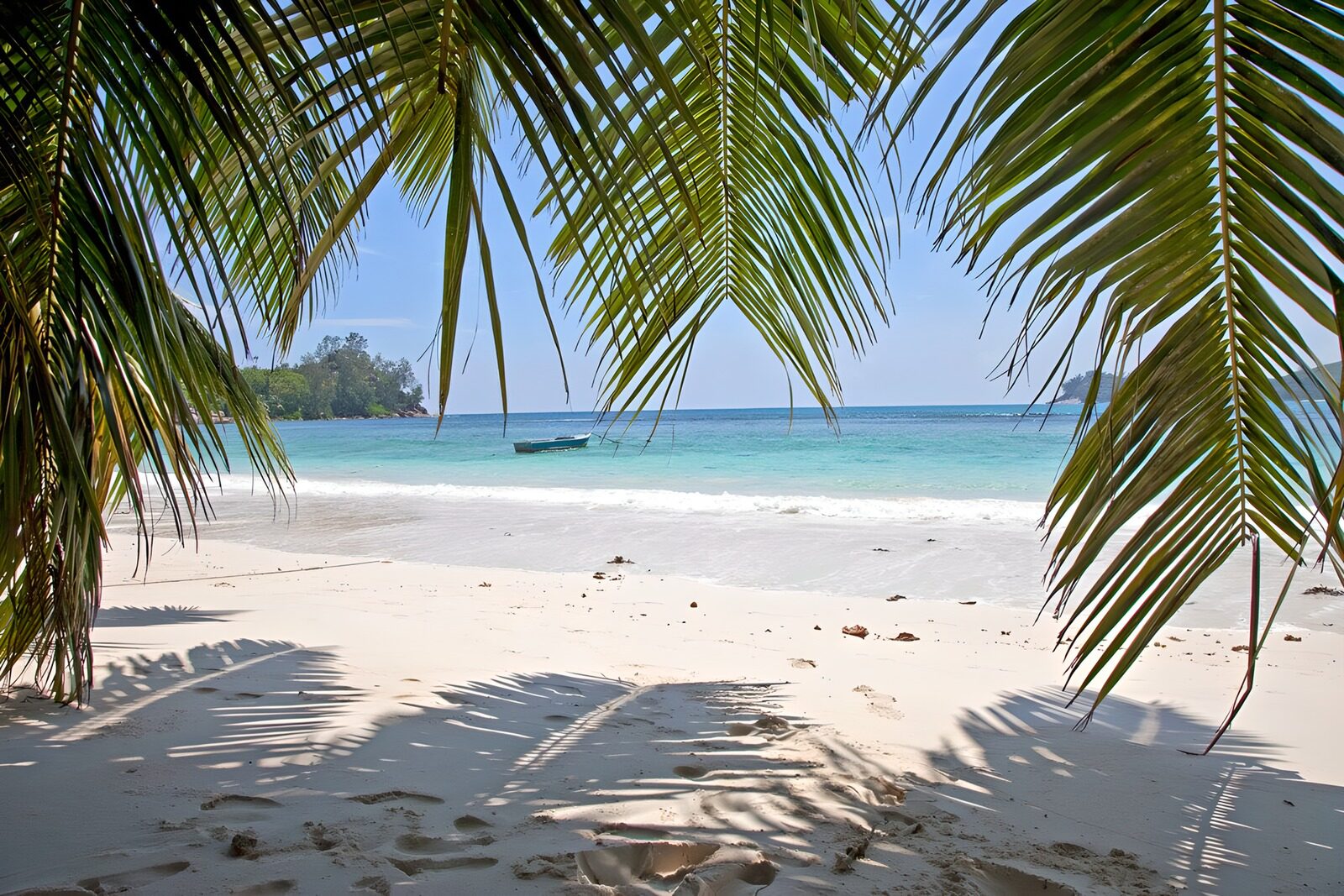 TPFR76912: Plage paradisiaque sous les palmiers