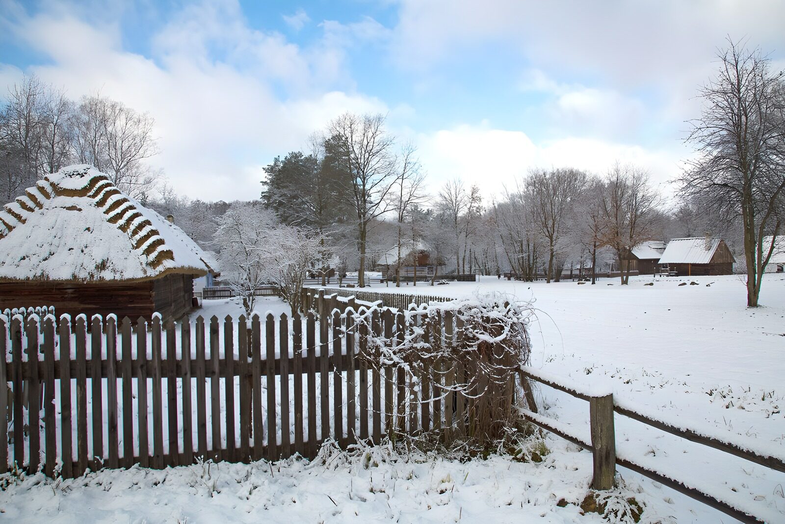 TPFR53694: Paysage hivernal paisible