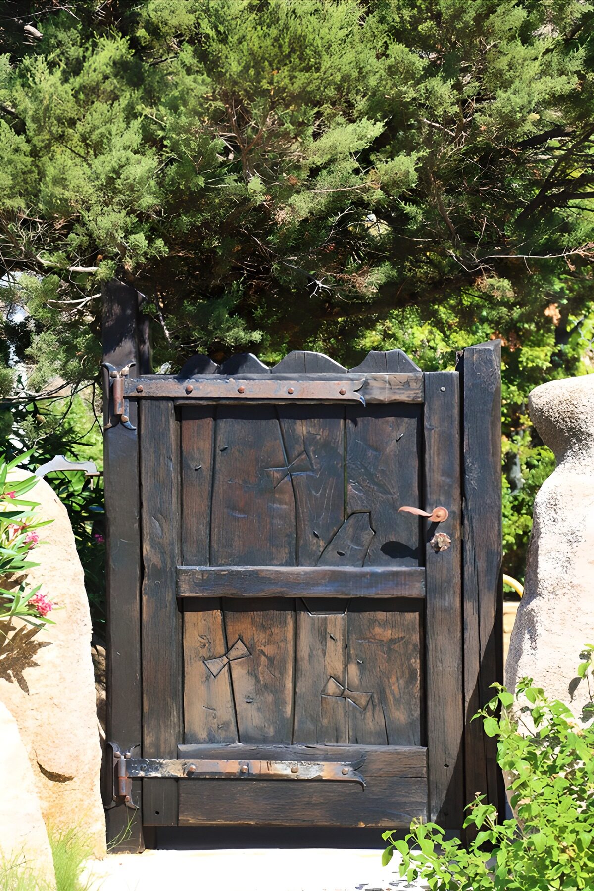 TPFR55680: Porte en bois rustique et charmante