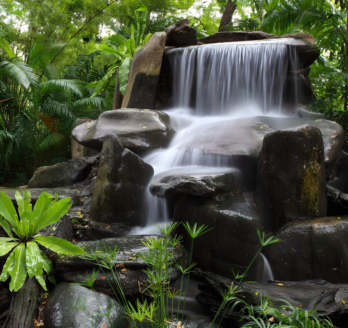 Cascade magique dans la nature