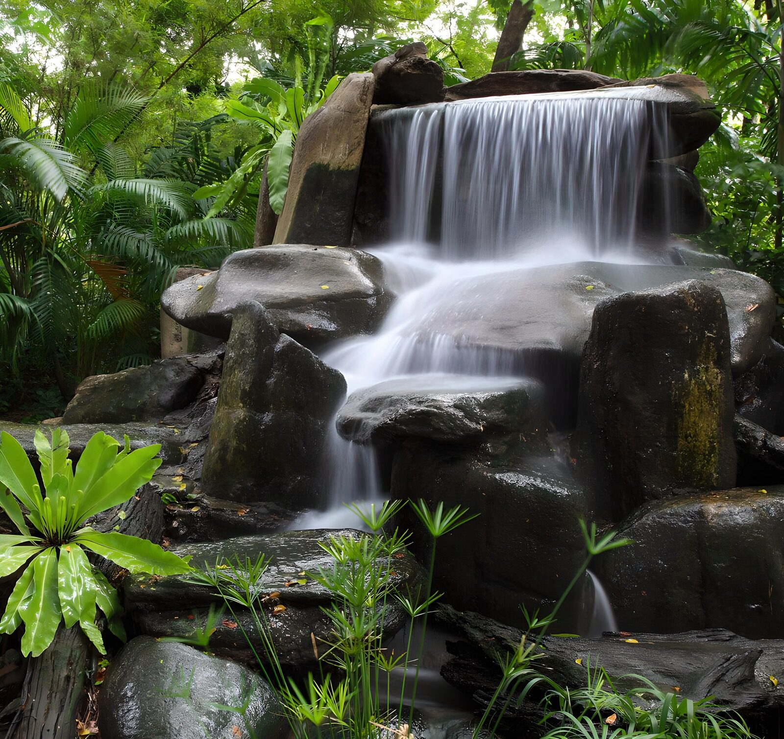 TPFR60847: Cascade magique dans la nature