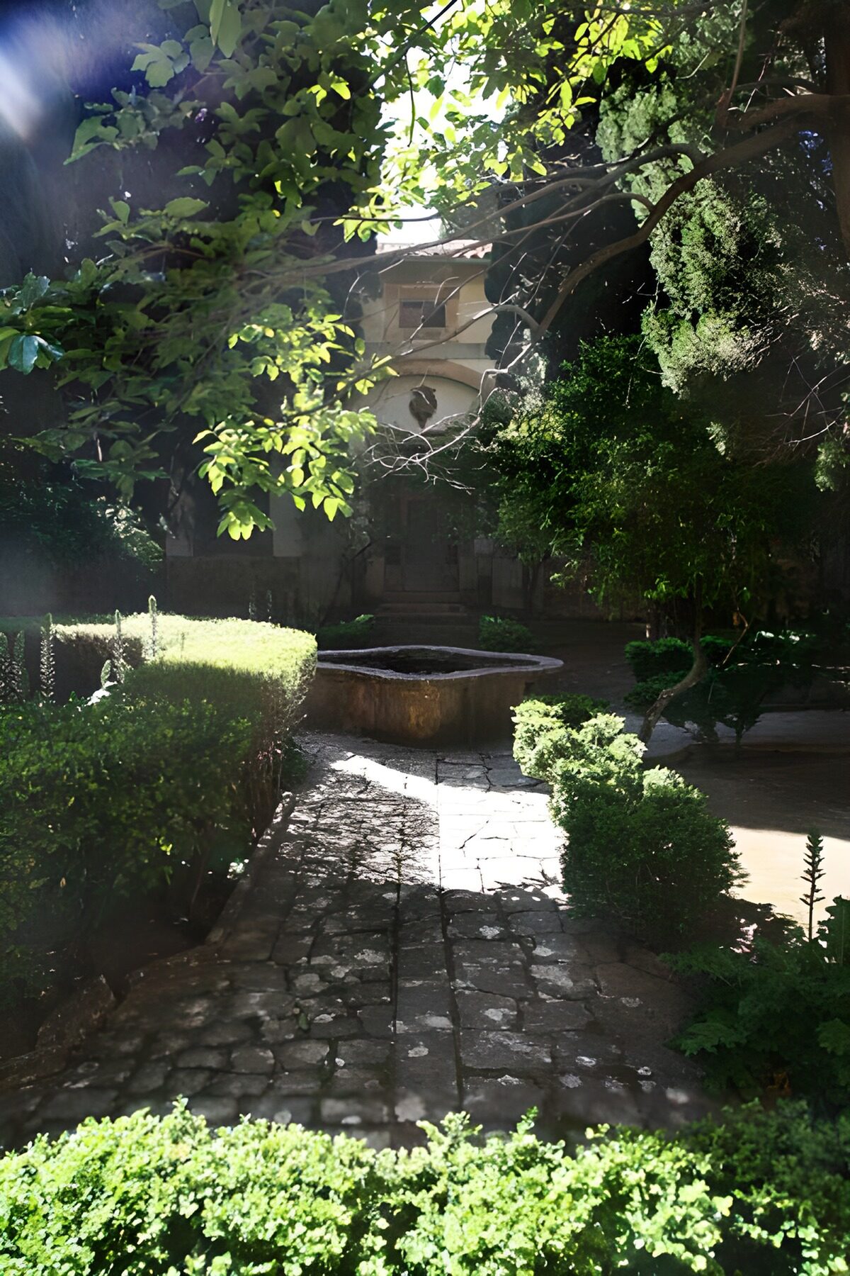 Fontaine bordée de haies sentier et arbres