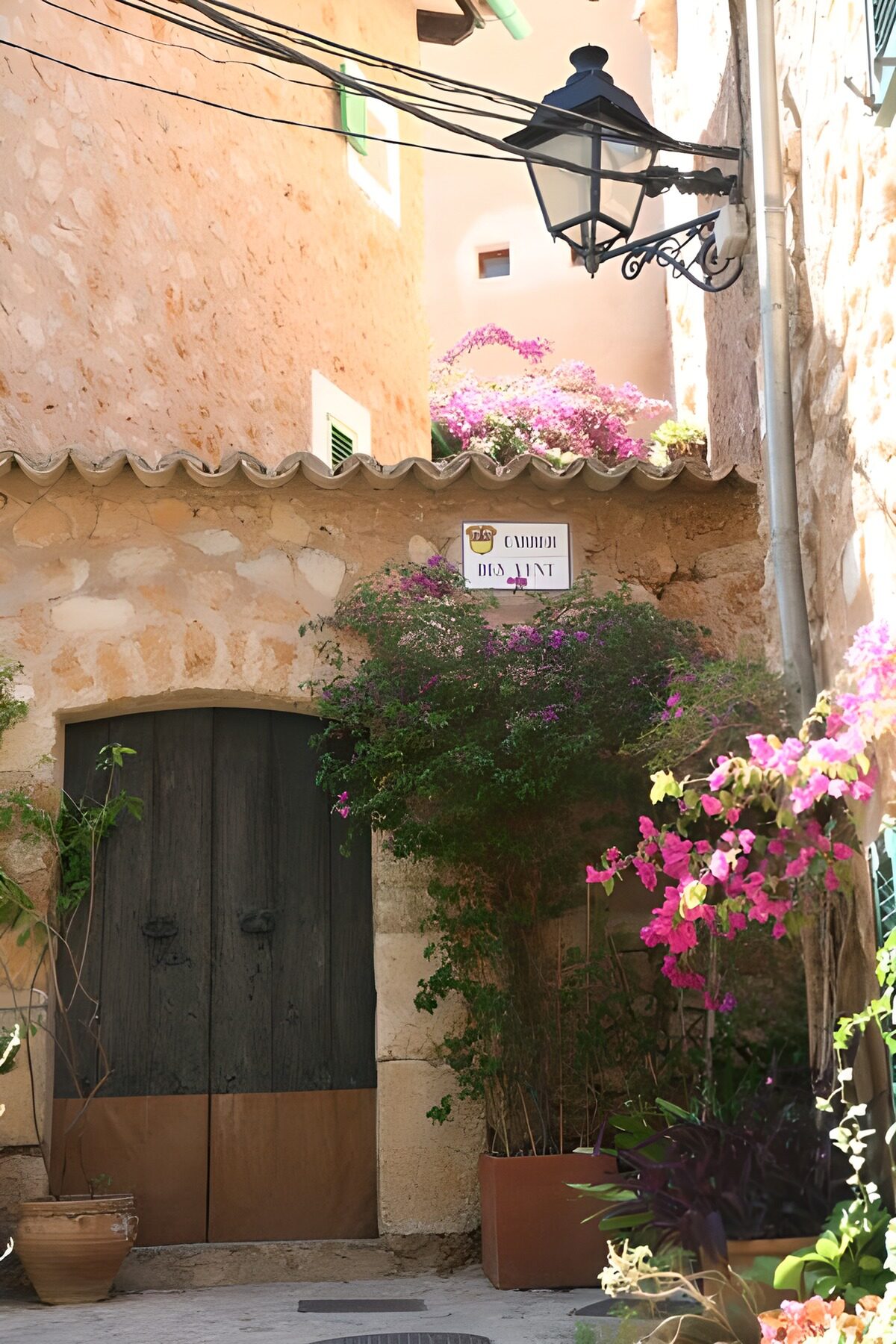 Grande porte en bois surmontée d'une lanterne et bordée de plantes et de pots 1