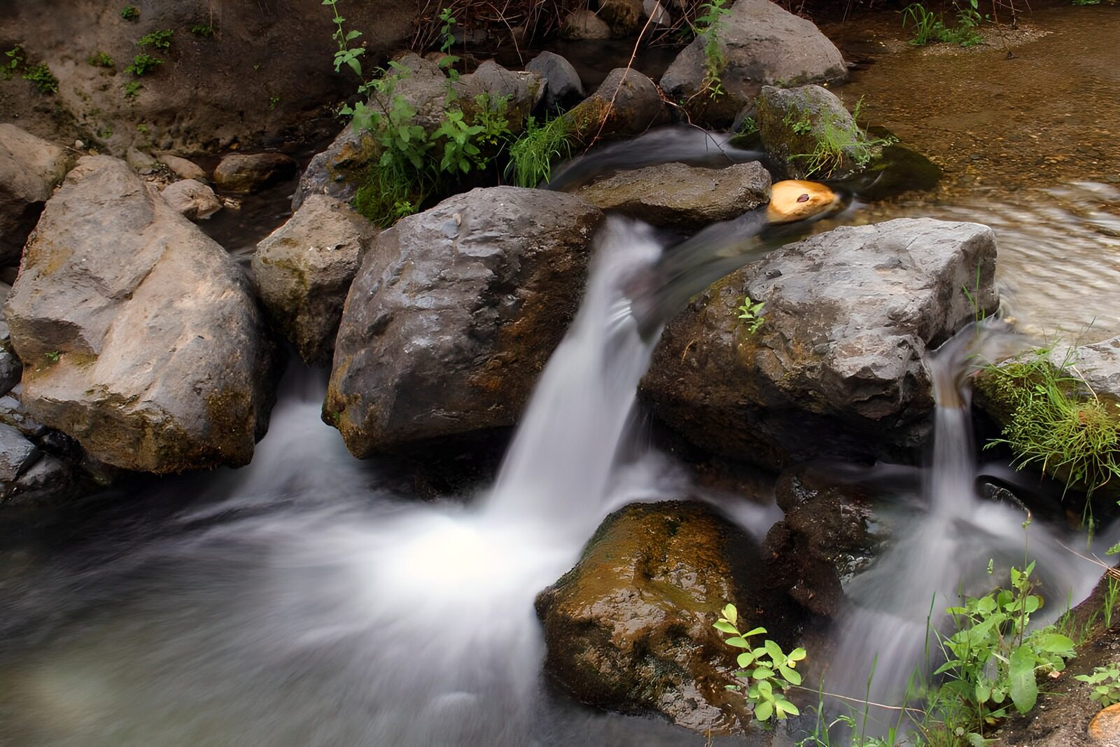 TPFR67318: Cascade paisible parmi les rochers