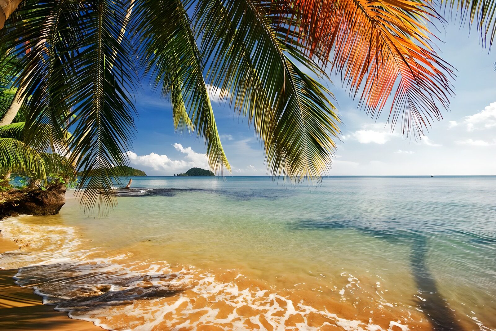 TPFR60830: Plage paisible sous les palmiers