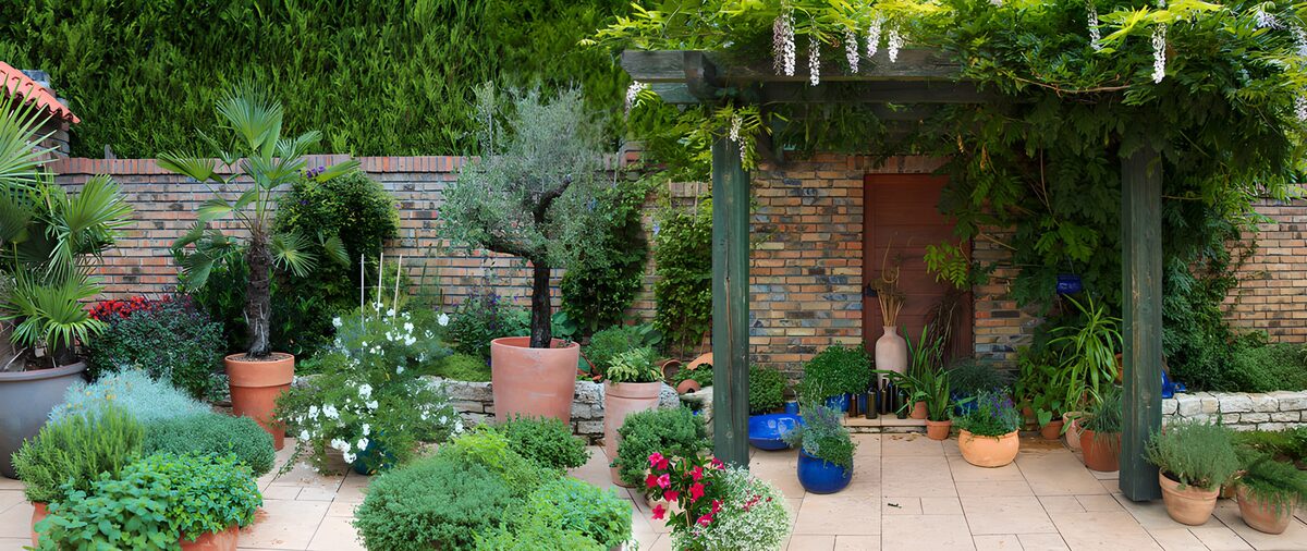 TPFR21358: : Jardin luxuriant avec pergola