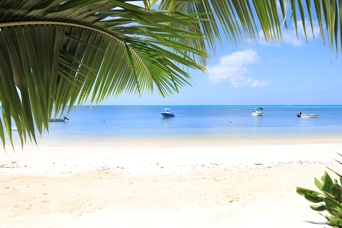 TPFR73146: Plage paradisiaque sous les palmiers