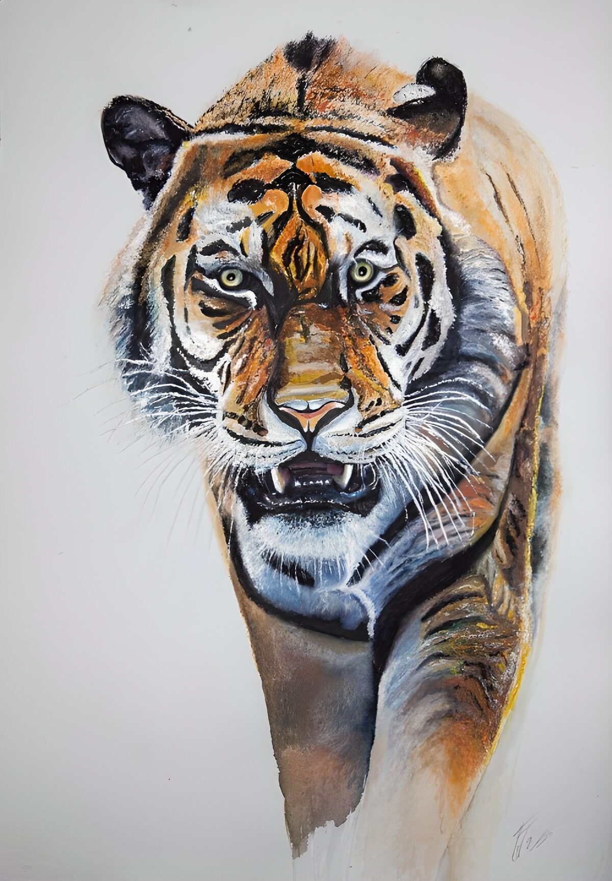 TPFR73326: Regard puissant du tigre