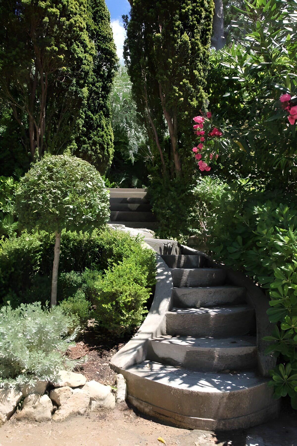 TPFR32748: Escaliers dans un jardin verdoyant