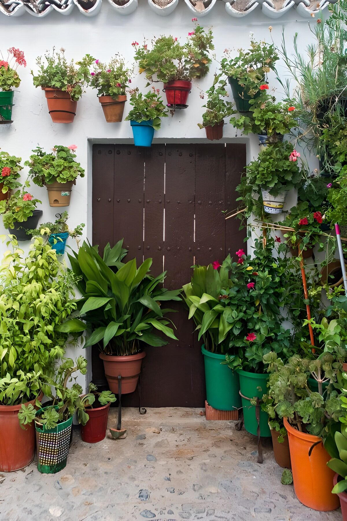 TPFR35778: Porte fleurie d'un charmant jardin