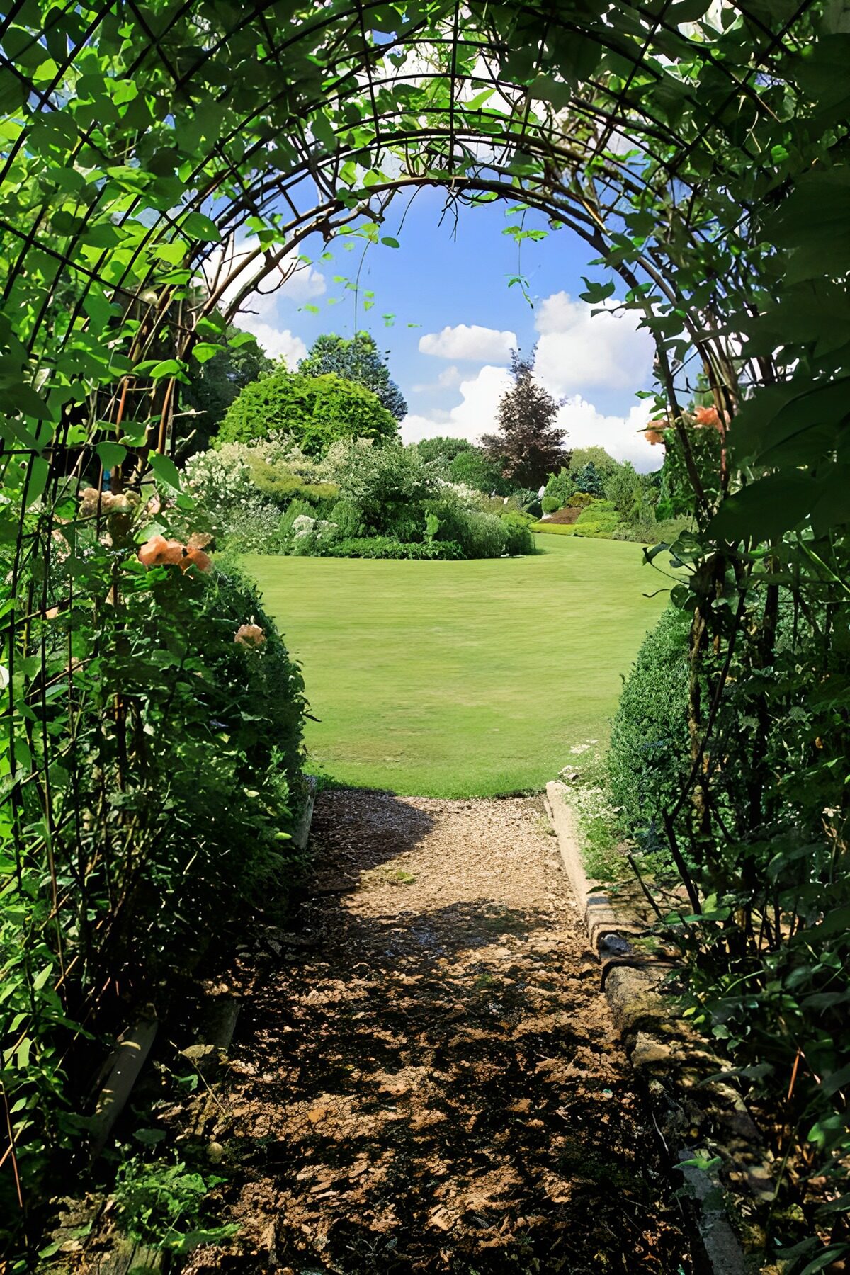 Allée menant au jardin surplombée d'arches serties de plantes grimpantes