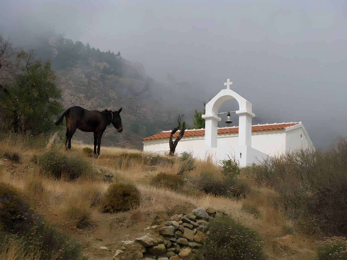 Âne sur une colline grecque près d'une vieille église