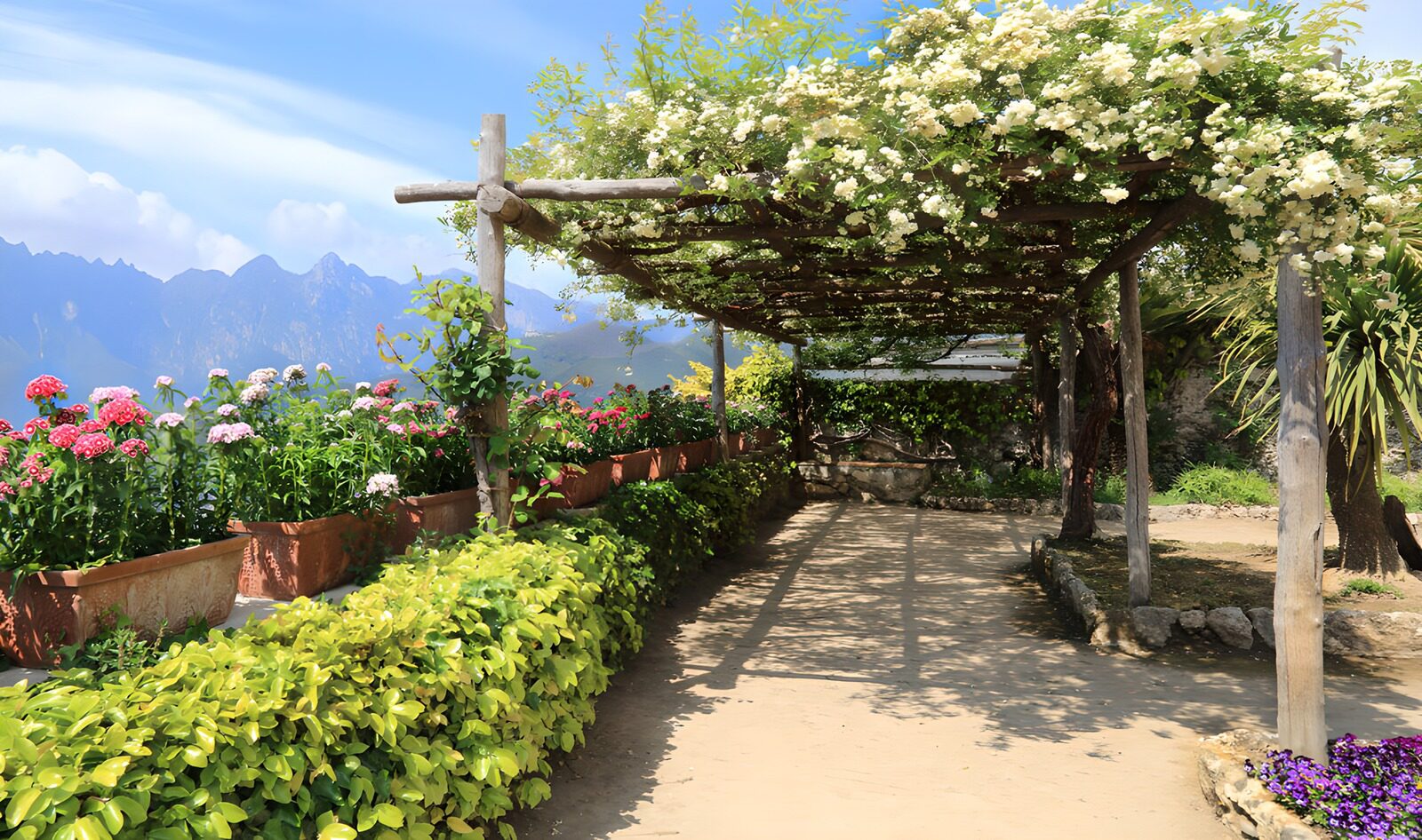 TPFR24020: Jardin fleuri sous un ciel bleu