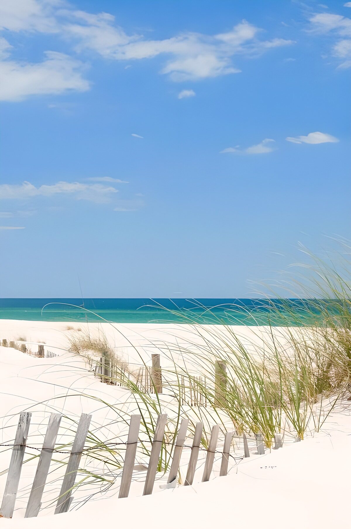 TPFR69217: Plage tranquille avec dunes de sable