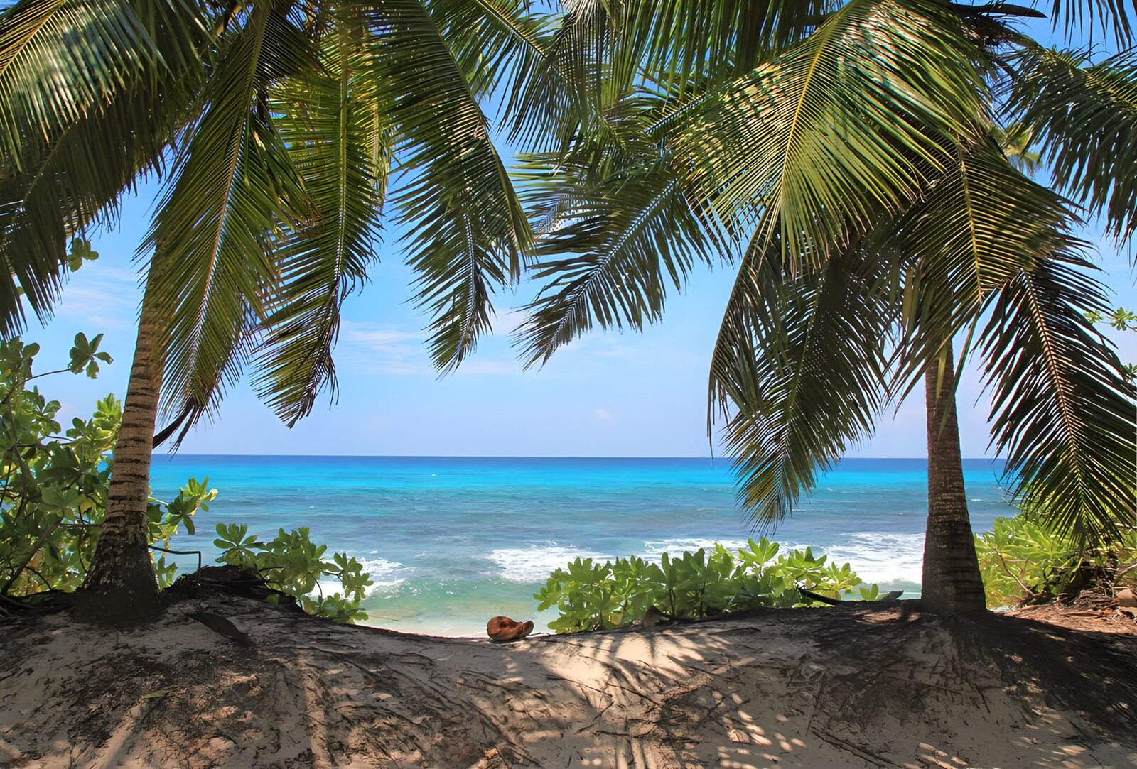 TPFR16529: Évasion tropicale au bord de la mer