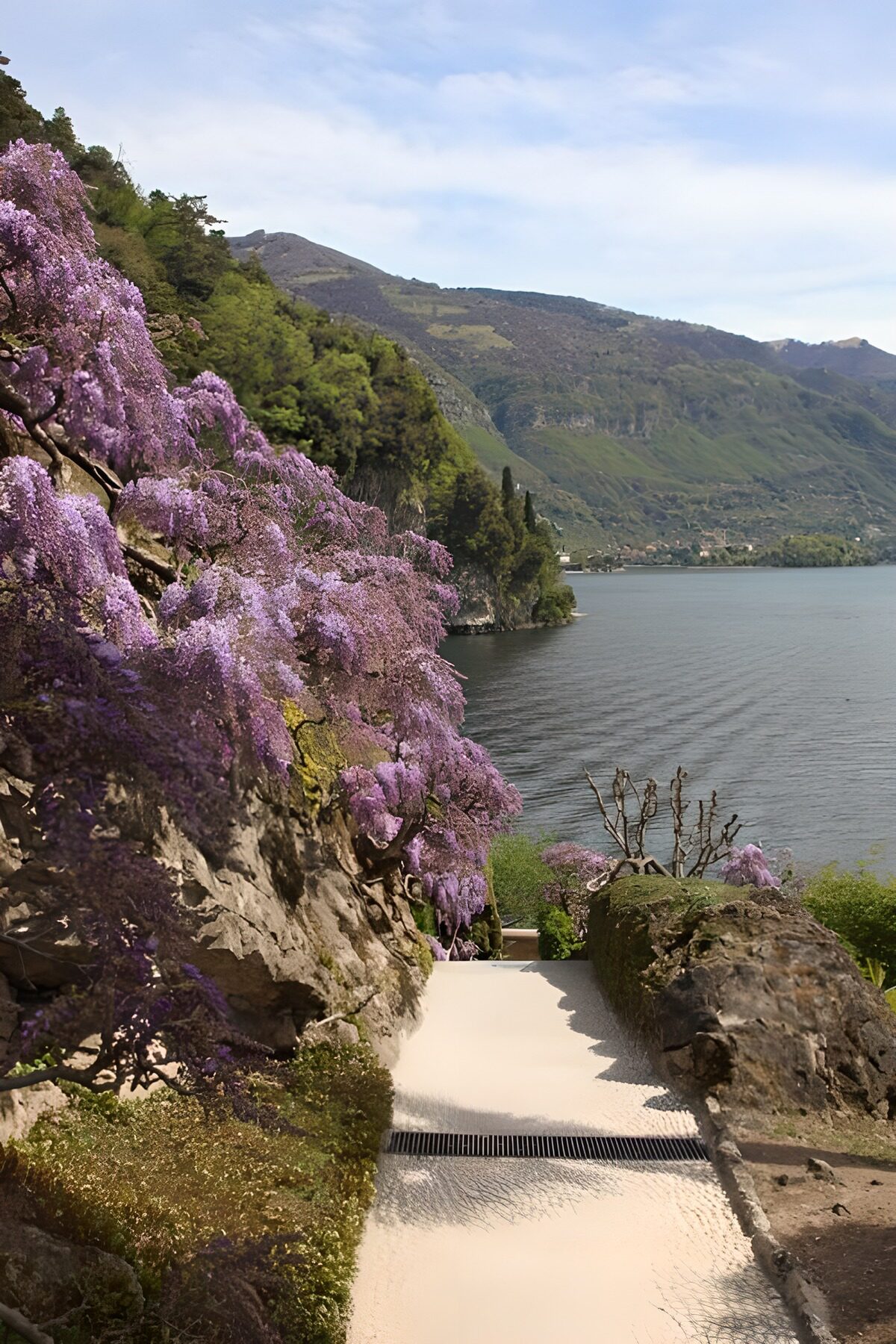 TPFR14974: Sentier fleuri au bord du lac