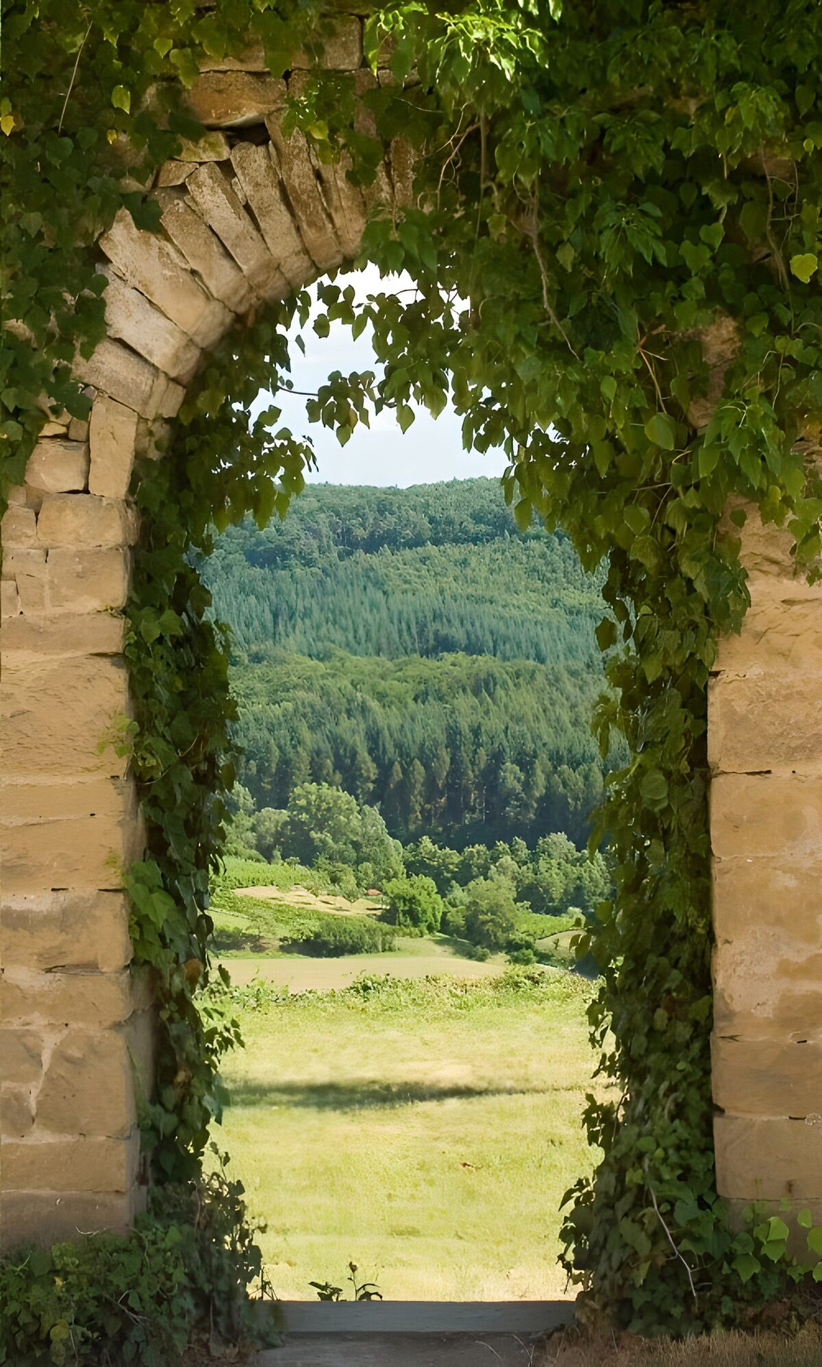 TPFR34570: Vue à travers l'arc verdoyant