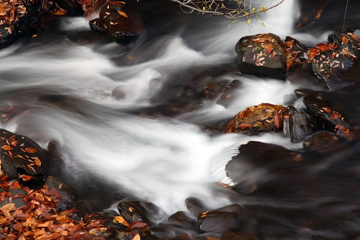 TPFR69649: Ruisseau paisible en automne