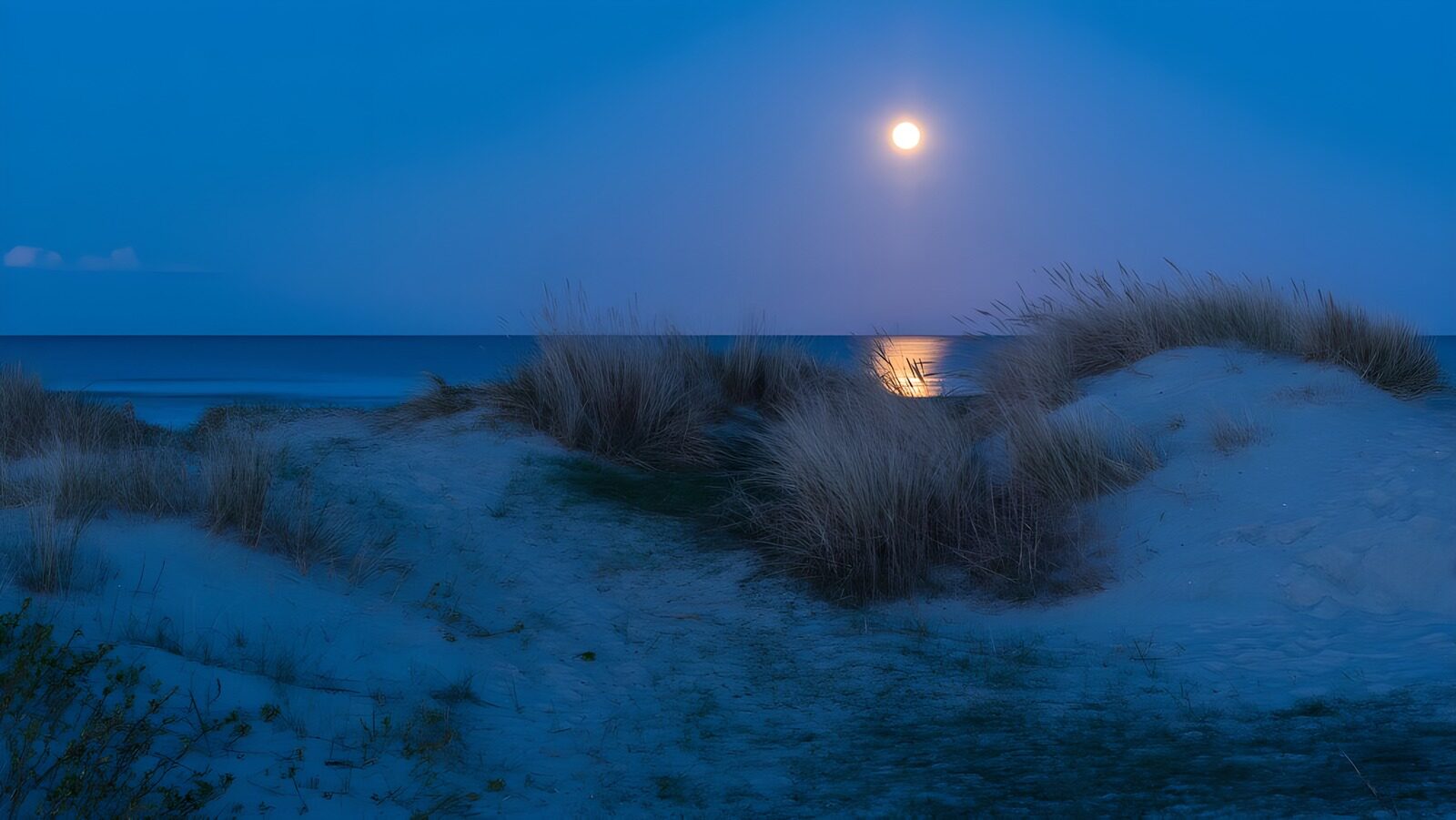 TPFR94525: Plage au clair de lune