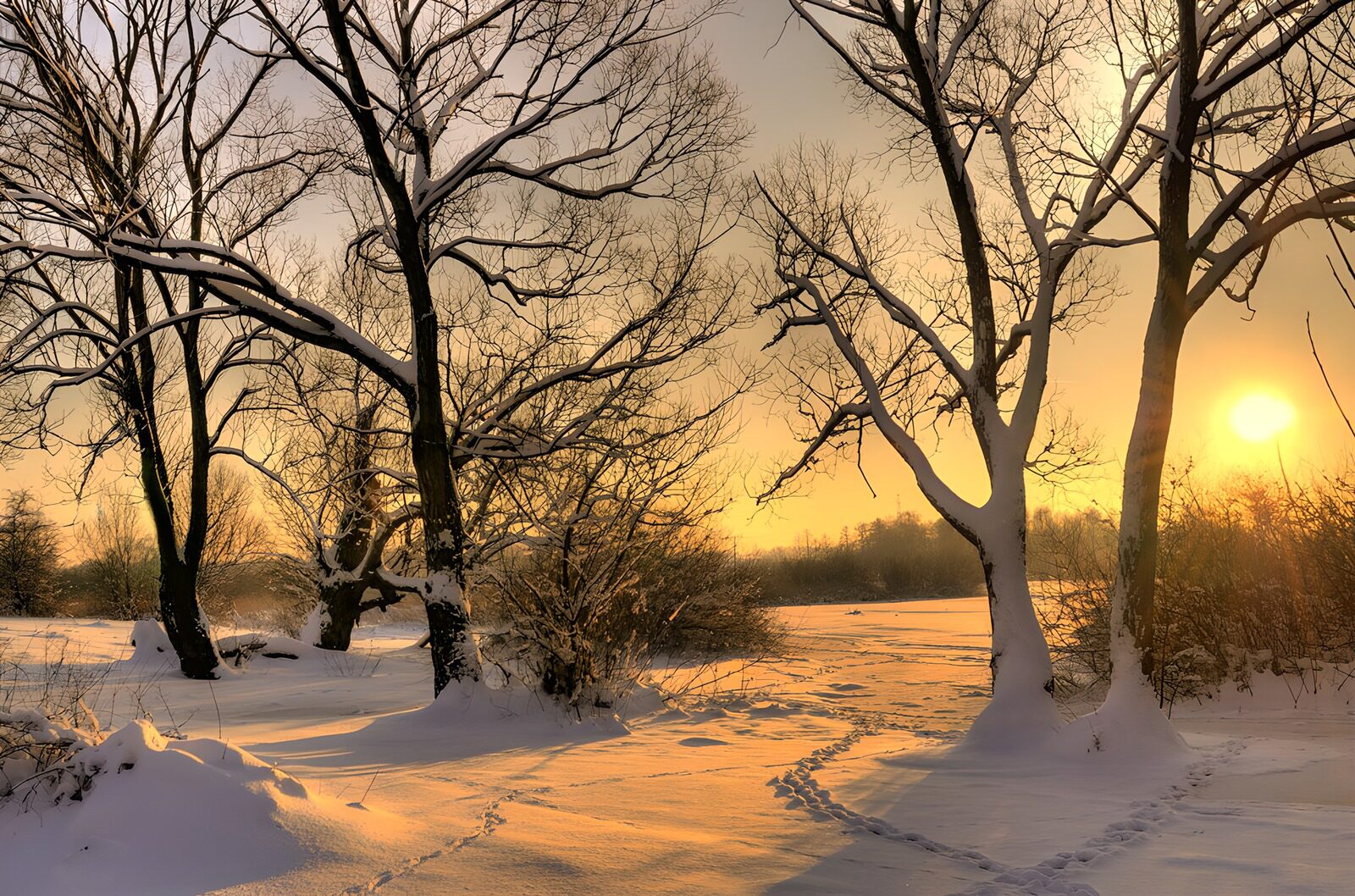 TPFR50428: : Paysage d'hiver au lever du soleil